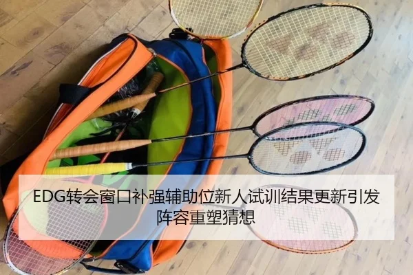 EDG转会窗口补强辅助位新人试训结果更新引发阵容重塑猜想